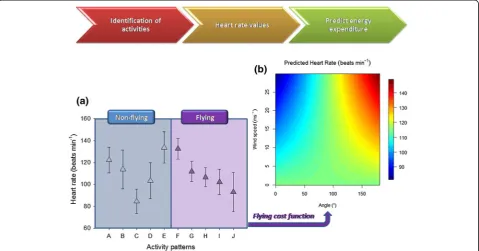 Figure 1 Workflow of the estimation of heart rate values depending on the activity. (a) Mean (± SD) values of heart rate (beats min-1) fordifferent activities (extracted from Figure 2 in [28])
