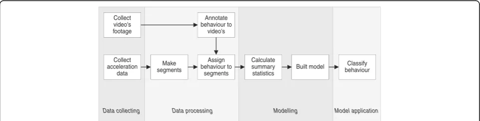 Figure 1 The eight step protocol for obtaining acceleration-based supervised behavioural classification that was followed duringour study.