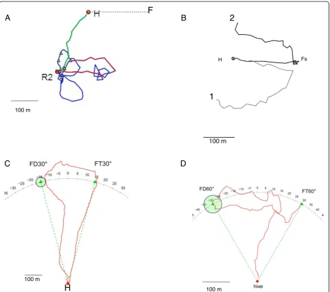 Figure 2 Radar tracks of navigating honeybees under four different conditions. A. Dance-directed flights and homing flights