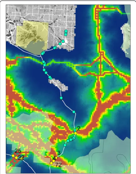 Figure 4 Locations of highway overpass and underpass structuresfor wildlife passage installed on U.S