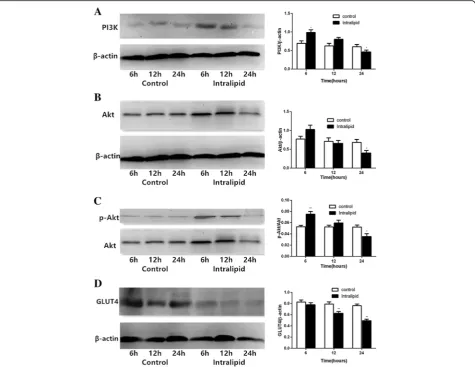Fig. 1 Changes in expression levels of PI3K, Akt, p-Akt, and GLUT4 protein in LV myocardial tissue in rats