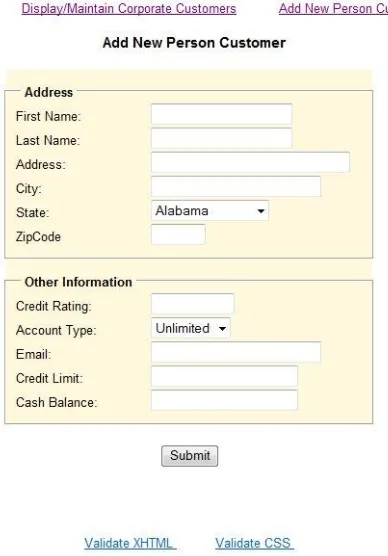 Figure 5: User Interface for Adding New Person Customer 
