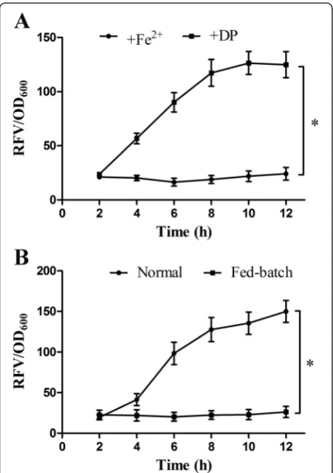 Figure 2 Iron-regulated and cell density-regulated performancesof ironQS system. (A) Expression curves of ironQS system regulatedby Fe2+ concentration