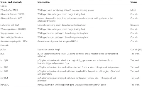Table 2 Strains and plasmids used in this study