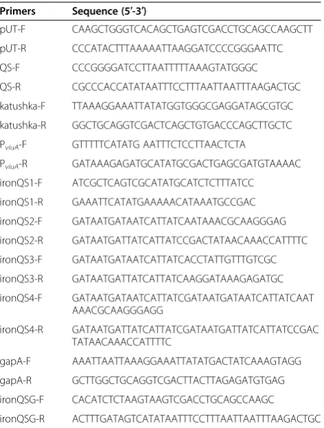 Table 3 Primers used in this study