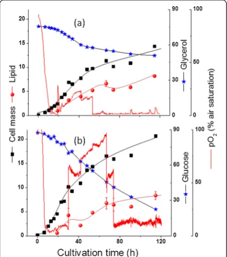 Figure 4 Batch cultivation of R. toruloides with either glycerol(a) or glucose (b) in pH controlled bioreactor: cell mass, lipid,substrate and pO2 as a function of time.
