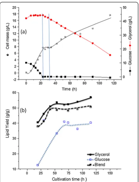 Table 2 Experimental lipid yields and productivity of different R. toruloides strains grown on different substrates