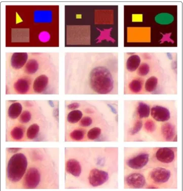 Figure 9 Data set used in the experiment. Twelve were selected for a comparison study