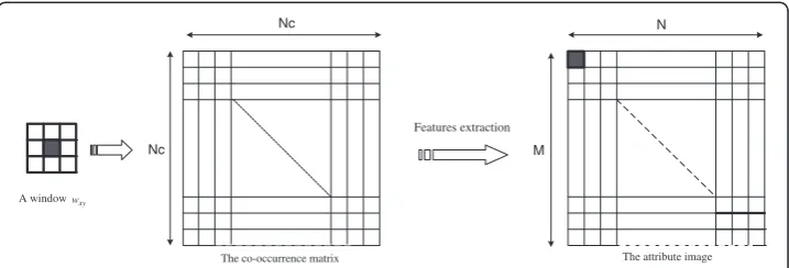 Figure 3 Features extraction from the co-occurrence matrix using a sliding window.
