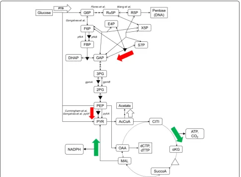 Figure 5 Summary overlay of the current and prior studies for plasmid-containing cells