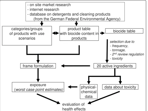 Figure 1 Approach selected for screening potential health risks from biocide-containing products of daily use