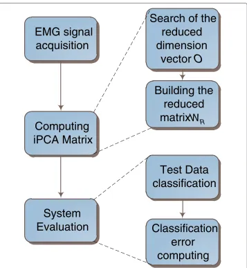 Figure 3 Sequence used to evaluate the classification error. Note that the blocks Computing iPCA Matrixand System Evaluation must run eight times, i.e