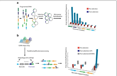 Figure 2 Genome wide fitness measurement techniques. a) Vector library based approaches such as SCALEs [25] start with cloning ofrandom DNA fragments that represent different sites of the genome of interest