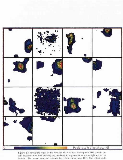 Figure 5.9 Firing rale maps for the R90 and R83 data sets. The lop two rows contain the 
