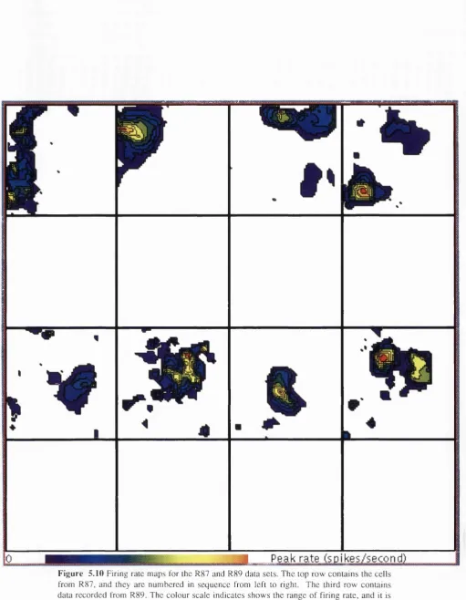 Figure 5.10 Firing rate maps for the R87 and R89 data sets. The lop row contains the cells 