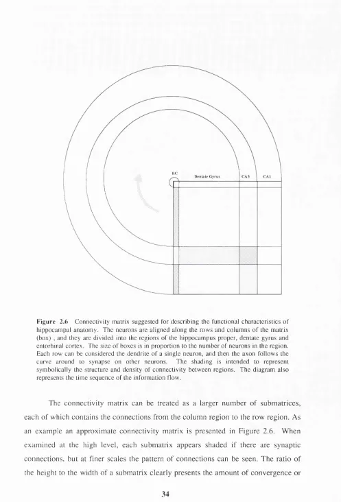 Figure 2.6 Conneciiviiy malrix suggested for describing the functional characteristics of 