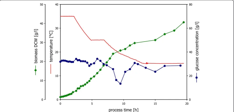 Figure 3 Specific growth rate as a function of temperature in non-induced conditions.fermentation process