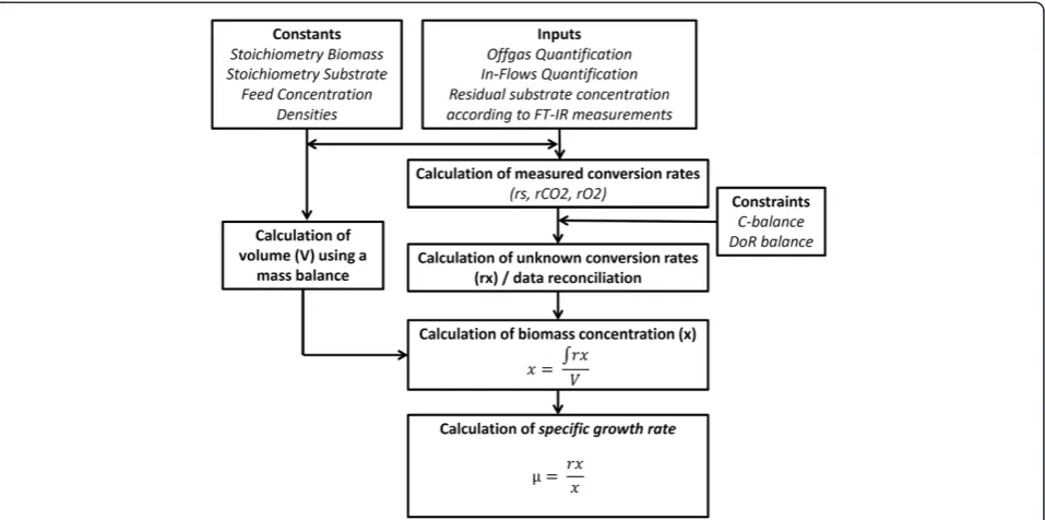 Figure 6 Illustration of the soft-sensing strategy to extract automatically information in the form of specific rates (specific growth rates).