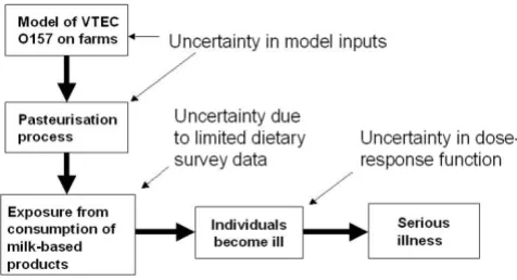 Figure 1Risk analysis model for Case Study 1Risk analysis model for Case Study 1. Processes and uncertainties modelled in estimating the health risk from exposure to VTEC O157 in consumed milk products