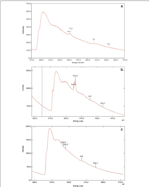 Figure 5 EEL spectra of shrimp shells during different stages of biological chitin purification