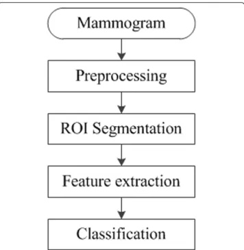 Figure 1 Generic framework of mammographic Computer-Aided Detection (CAD) algorithms.