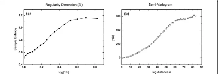 Figure 3 A typical example of regularity dimension and semi-variogram. A typical example of(a) regularity dimension and (b) semi-variogram.