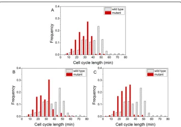 Figure 5 The histogram of cell-cycle lengths. The cell-cycle lengths are computed for both the wildtype and the mutants: (A) gene cki-1 knock down, (B) gene efl-1 knock down and (C) gene cdc-14 knockdown