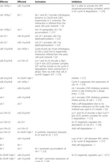 Table 1 The rules of interactions in the C.elegans early embryonic cell cycles network.