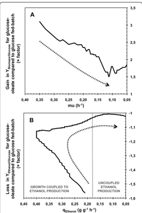 Figure 6 Evolutions of the gain in biomass yield and the loss inethanol yield during aerobic fed-batch cultivations