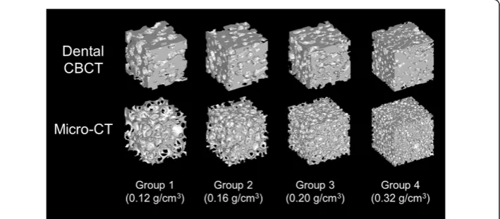 Figure 2 The 3D models of the cellular synthetic bone created by using dental CBCT and micro-CT.
