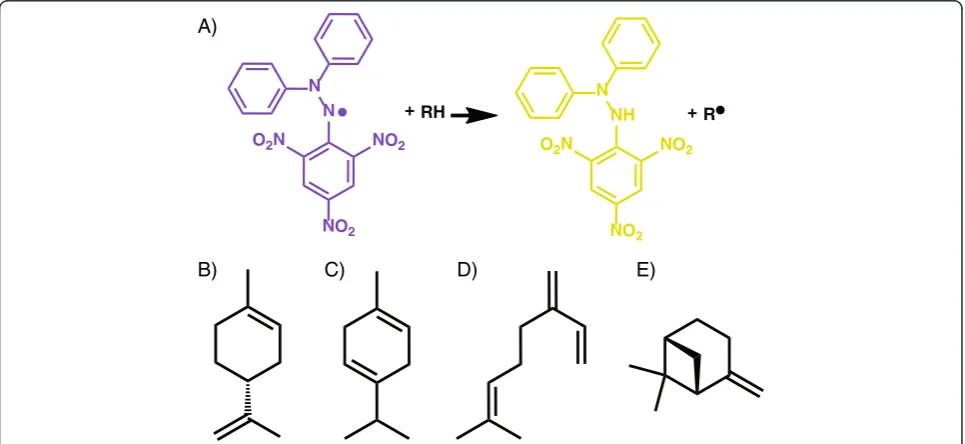 Figure 1 The DPPH reaction and monoterpene compounds examined in this study.γ DPPH exhibits strong absorbance at 517 nm (purple)which decreases proportionately with the loss of its radical (A)