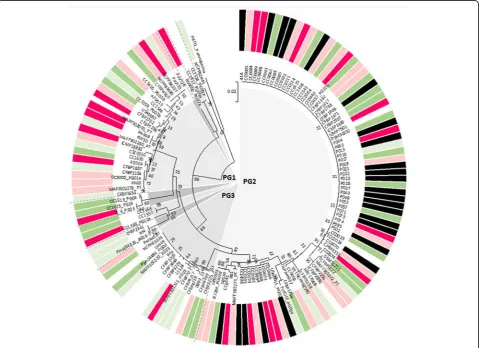 Fig. 4 Phylogenetic tree of 134 strains of Pseudomonas syringae from eight phylogroups and of P
