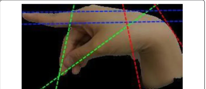 Figure 7 Hand gesture image of letter ‘p’ that has the directional lines added for illustration.