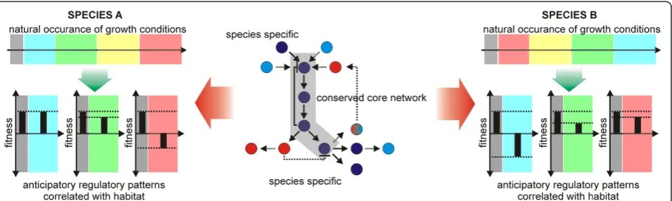 Figure 2 Species-specific differences in gene regulatory networks. Species-specific network properties allow for anticipatory behavior of theenvironment and consequently species-specific fitness trade-offs, in case that environmental stresses do not occur as in their natural order.Ultimately, these network properties may lead to distinct trade-offs among non-conventional host organisms during laboratory evolution.