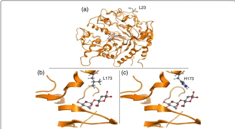 Figure 5 Sequence-structure based mapping of the cellodextrin mutations. The HMMTOP software predicts sequence-structure of thetransmembrane helix, inner, and outer loops of transmembrane proteins