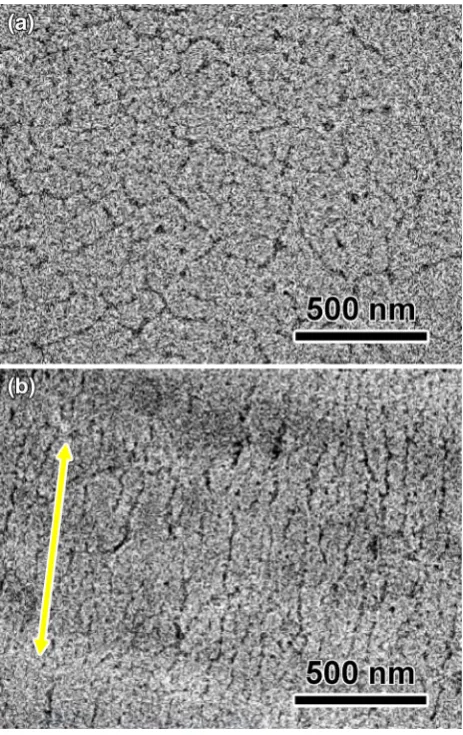 Fig. 5 Lengthwise sectional TEM images of all-cellulose compositeﬁlms with 10 wt% TOCNs a before and b after mechanical drawing