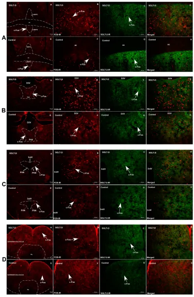 Figure 5 Continued.