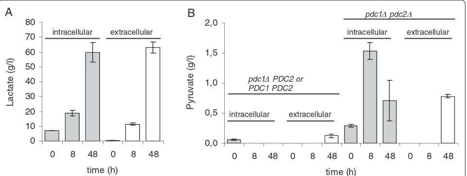Figure 8 Intracellular and extracellular lactate and pyruvate. (A) Concentrations of intra- (grey bars) and extracellular (white bars) lactate instrains expressing BmLDH in cultures containing non-limiting concentration of CaCO3
