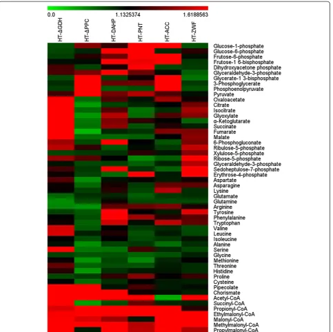 Figure 5 Intracellular metabolite profiles at 72 h for engineered strains. Heat map visualizes most intracellular metabolites from glycolysis,TCA, PPP and amino acid pathways of engineered strains under the same fermentation condition