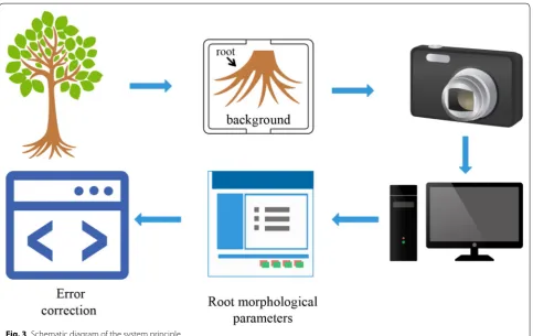 Fig. 3 Schematic diagram of the system principle