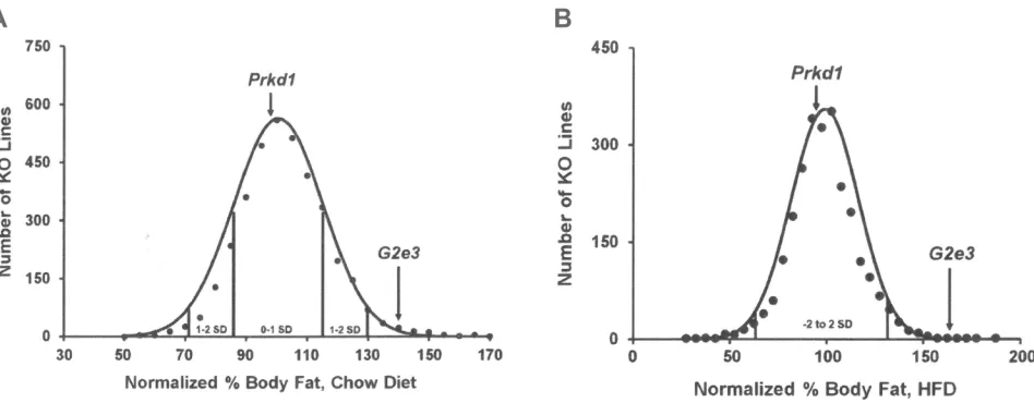 Figure 2 G2e3 KO mice, but not Prkd1 KO mice, are obese during high-throughput phenotypic screening.Notes: (A) Histogram of normalized % body fat for 3651 KO lines maintained on chow diet