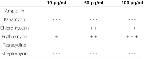 Table 1 Sensitivity of SM9913 to different antibiotics
