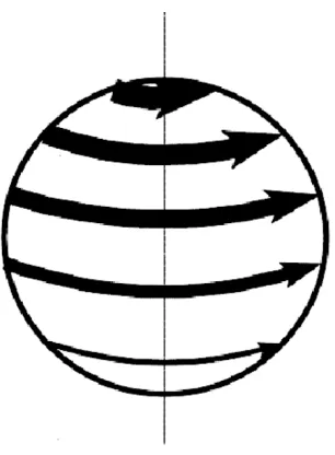 Fig. 1.Divergence-free Spherical Elementary Current System (SECS).From Amm and Viljanen (1999).
