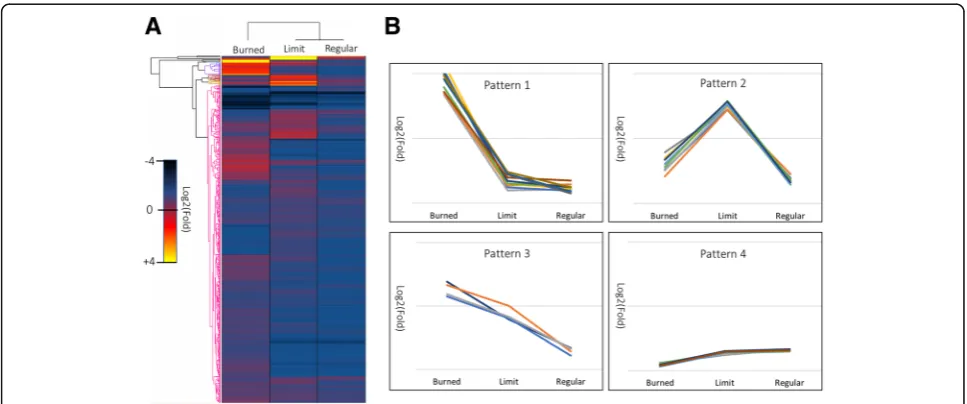 Fig. 4 Hierarchical clustering analysis of differentially abundant proteins and cluster expression patterns.(Euclidian distance was chosen to cluster proteins by abundance traits