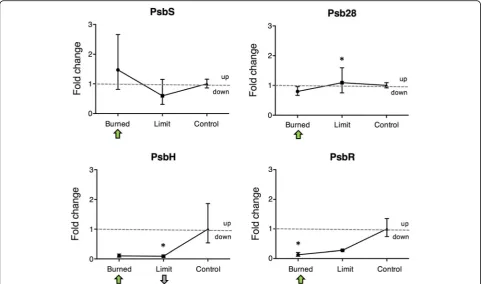 Fig. 5 Comparison of transcription and translation levels of genes of interest. mRNA fold changes of PsbH, PsbR, Psb28, and PsbS in the Limit,Burned and control detected by RT-qPCR