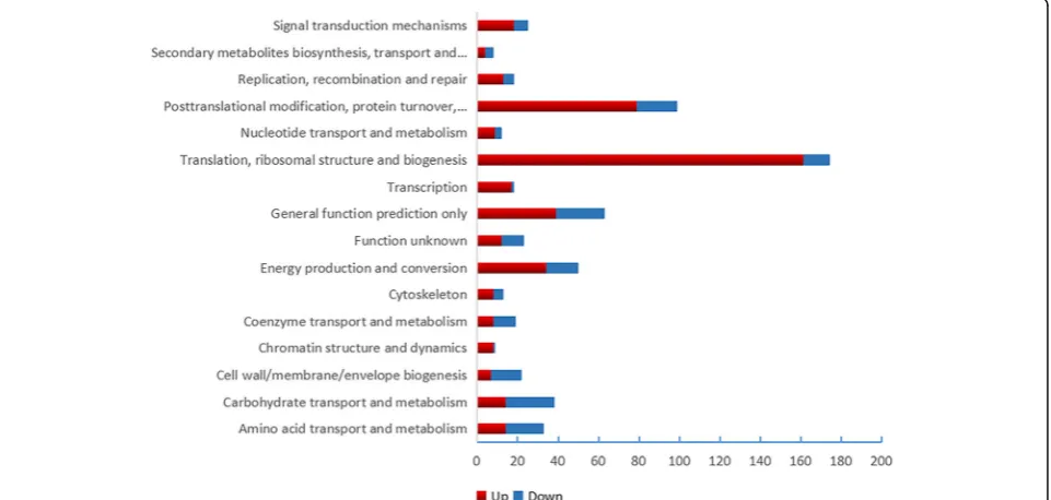Fig. 3 COG function analysis DEPs of UpHT vs UpC. Colour in red indicated up-regulated proteins number, blue indicated down-regulated proteins number