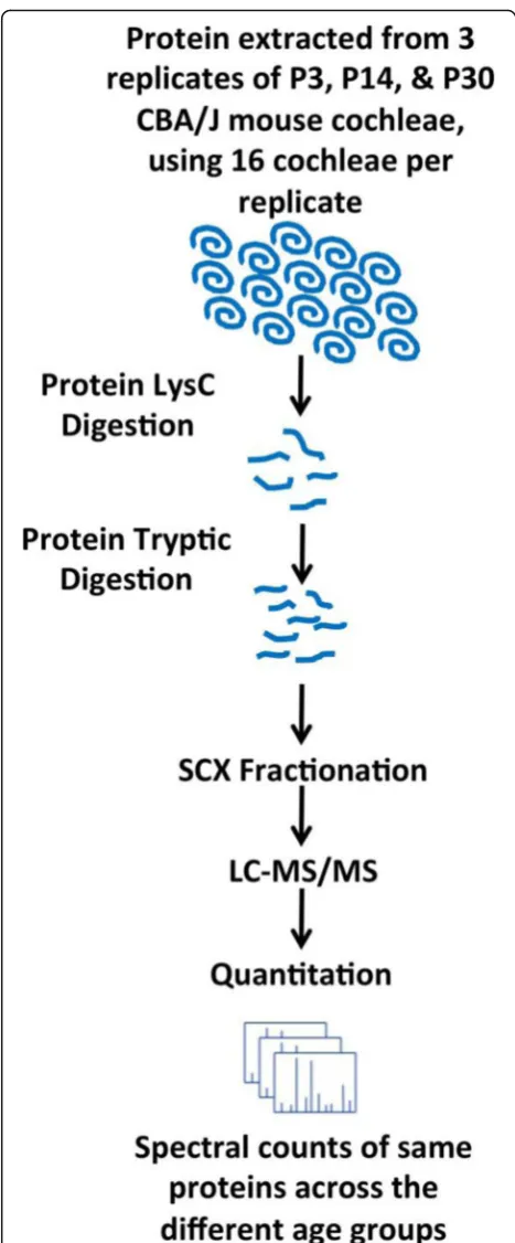 Table 3 lists the top 25 proteins with the largest mean