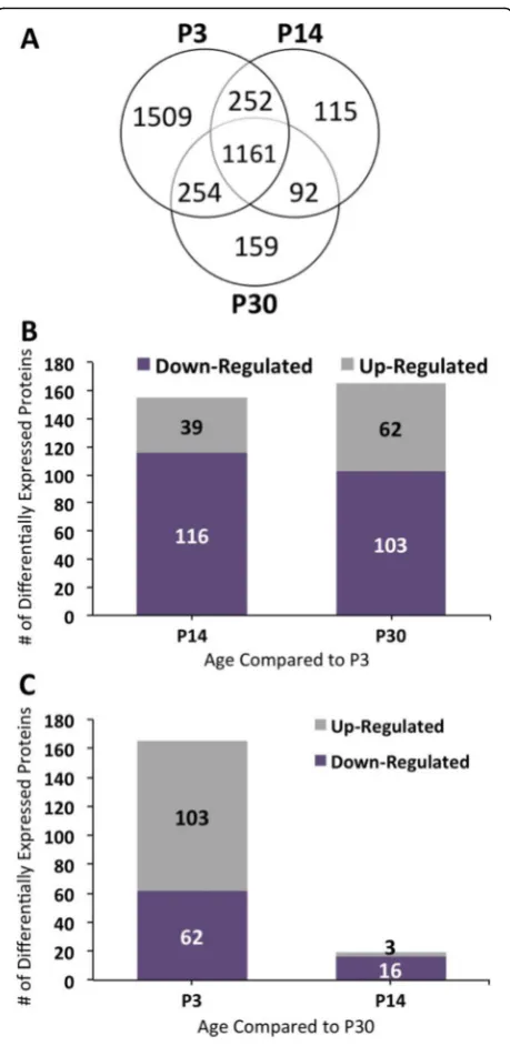 Fig. 2 Total proteome and differentially expressed proteins in eachage group. a Venn diagram showing proteins identified from P3,P14, and P30 proteome