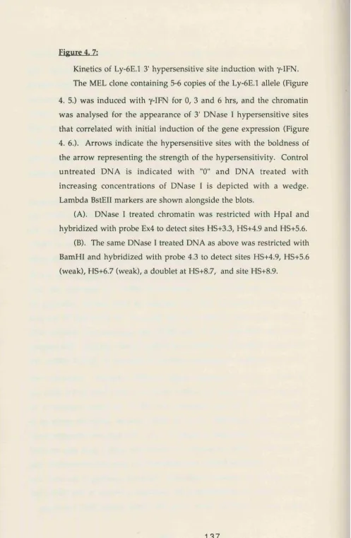 Figure 4. 7;