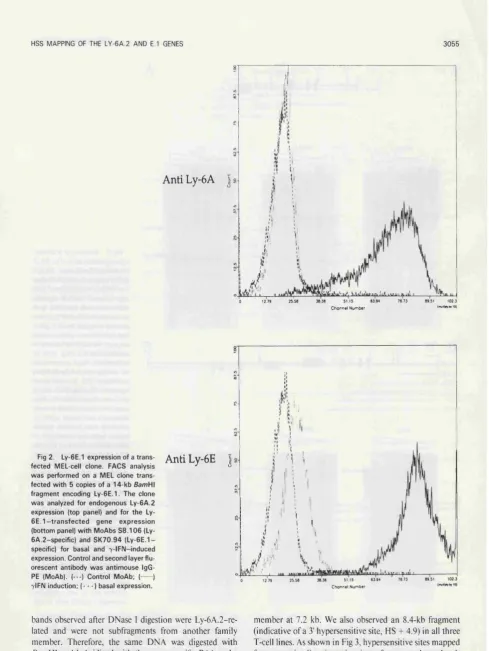Fig 2. Ly-6E.1 expression of a trans­